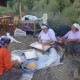 SAM_0685